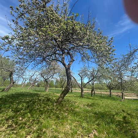 Swietokrzyski Klimacik Bodzentyn Dış mekan fotoğraf